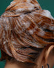 Healthy Hair Shampoo from epres