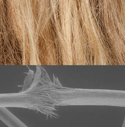 Blond - Before.jpg